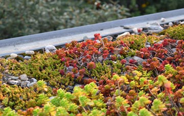 the cost of Moscow green roof installation