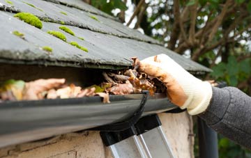 gutter cleaning Moscow, East Ayrshire