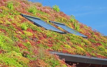Moscow living roof systems