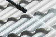 rated Moscow roof cleaning companies